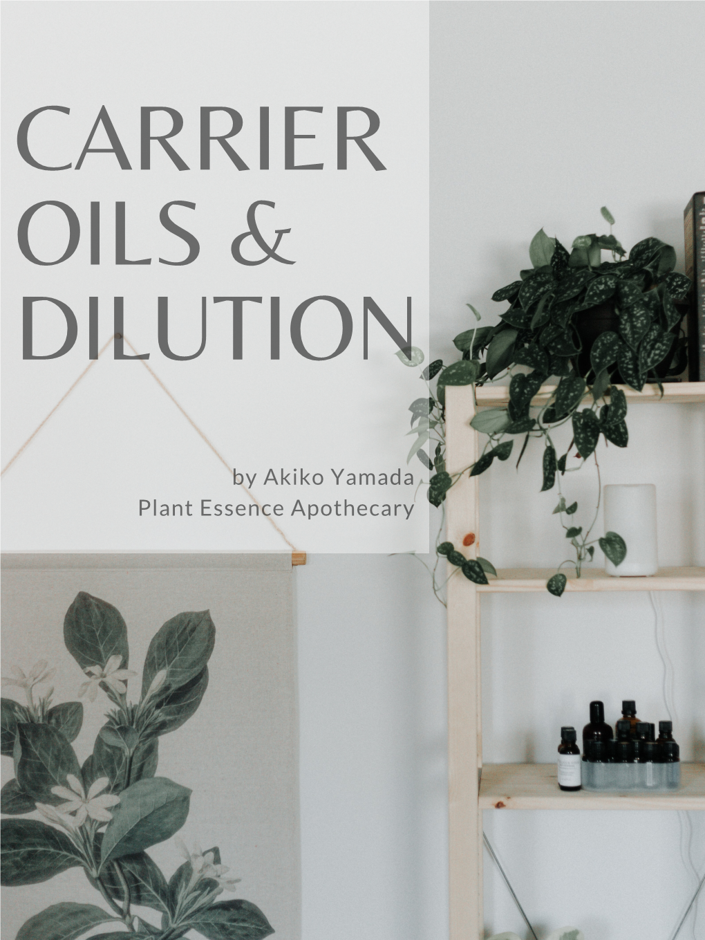 Carrier Oils & Dilution
