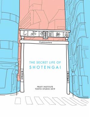 The Secret Life of Shotengai
