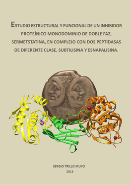 Estudio Estructural Y Funcional De Un Inhibidor Proteínico Monodominio