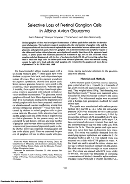 Selective Loss of Retinal Ganglion Cells in Albino Avian Glaucoma