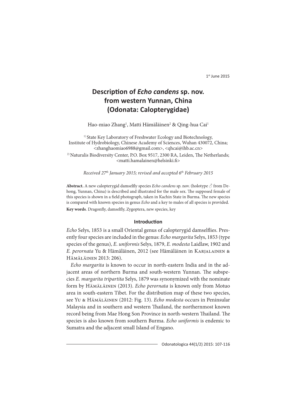 Description of Echo Candens Sp. Nov. From