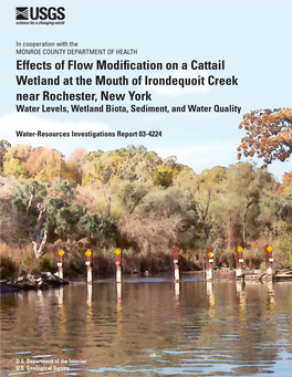 Effects of Flow Modification on a Cattail Wetland at the Mouth of Irondequoit Creek Near Rochester, New York—Water Levels