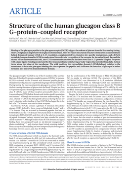 Structure of the Human Glucagon Class B G-Protein-Coupled Receptor