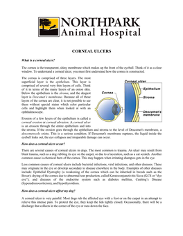 Corneal Ulcers