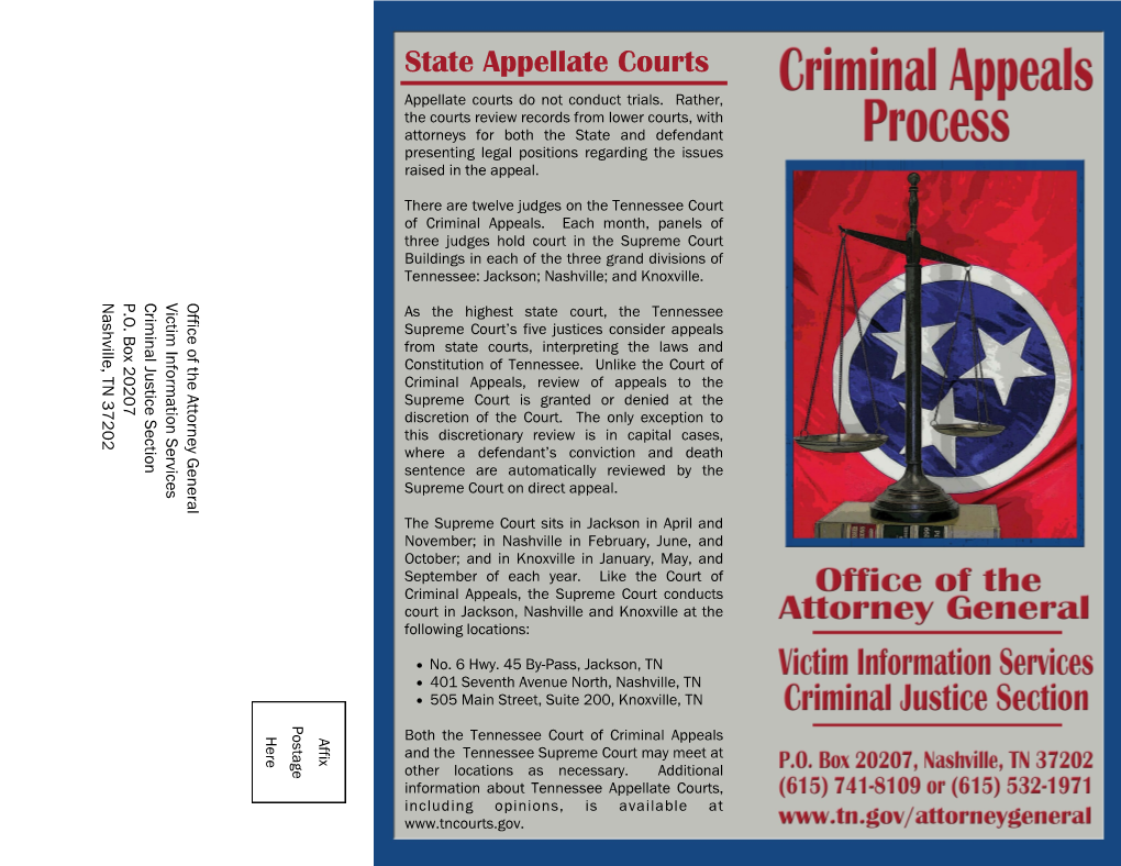 Criminal Appeals Process