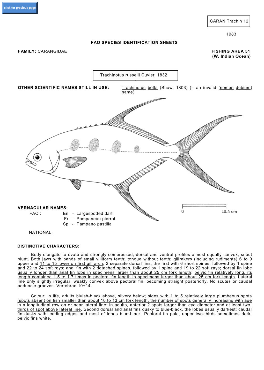 CARANGIDAE FISHING AREA 51 (W. Indian Ocean) Trachinotus Russeli