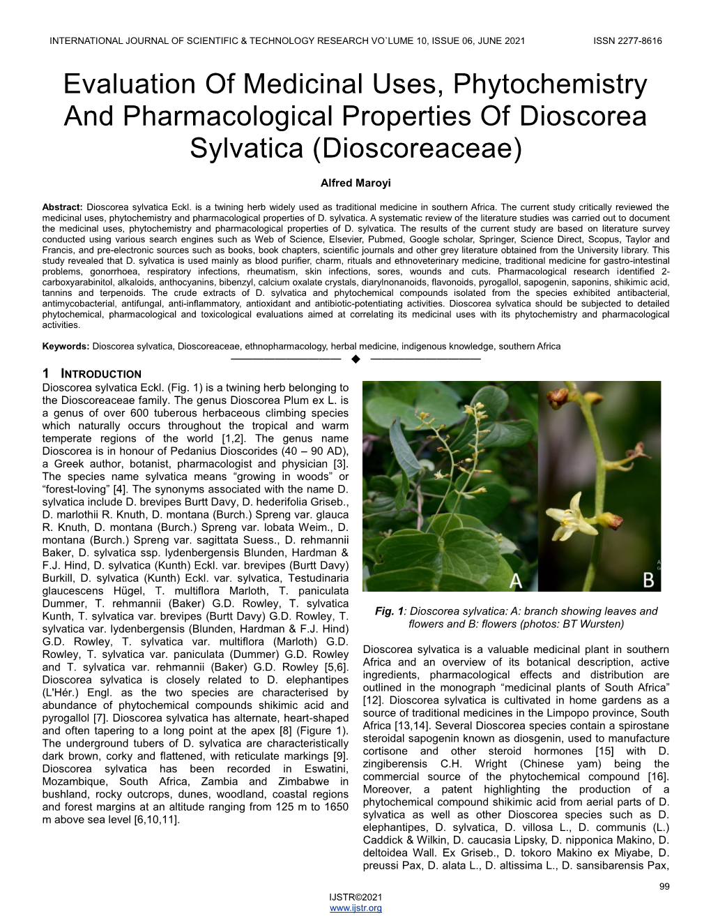 Evaluation of Medicinal Uses, Phytochemistry and Pharmacological Properties of Dioscorea Sylvatica (Dioscoreaceae)