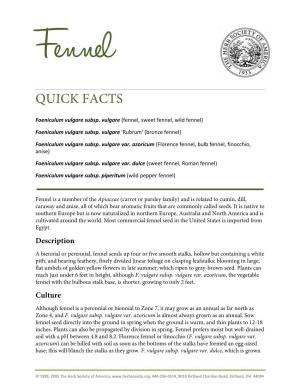 Fennel Seed in the United States Is Imported from Egypt