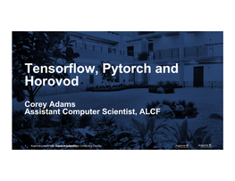 Tensorflow, Pytorch and Horovod