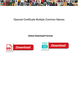 Openssl Certificate Multiple Common Names
