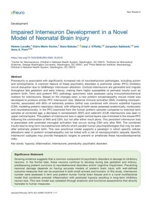 Impaired Interneuron Development in a Novel Model of Neonatal Brain Injury