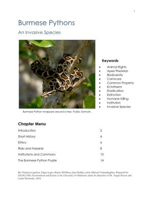 Burmese Pythons an Invasive Species
