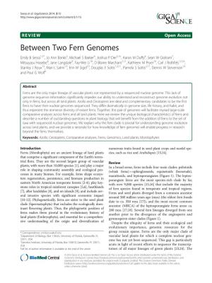 Between Two Fern Genomes