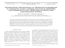 Productivity and Biomass of Thalassia Testudinum As Related to Water Column Nutrient Availability and Epiphyte Levels: Field Observations and Experimental Studies