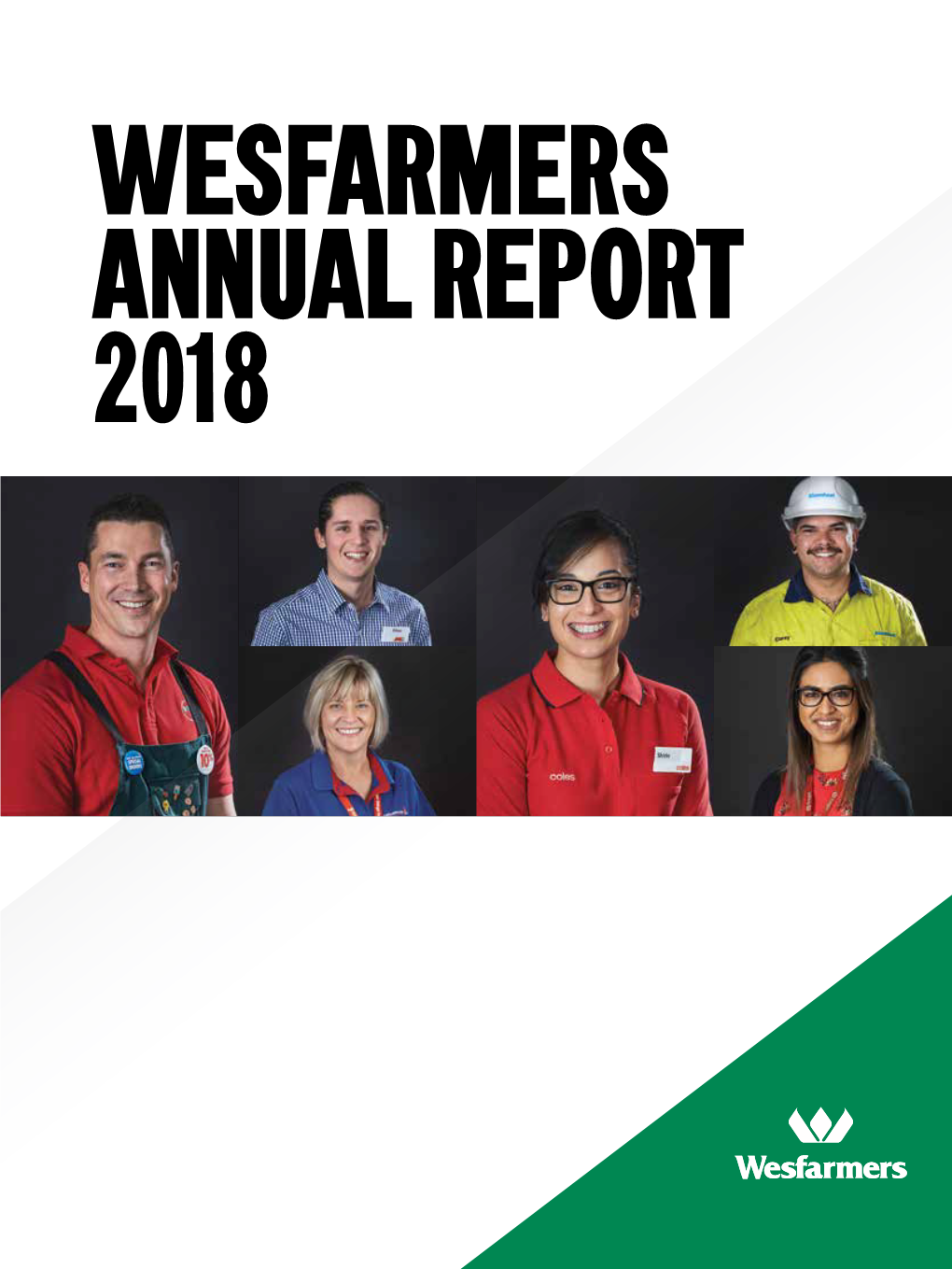 2018 Annual Report 1 Overview