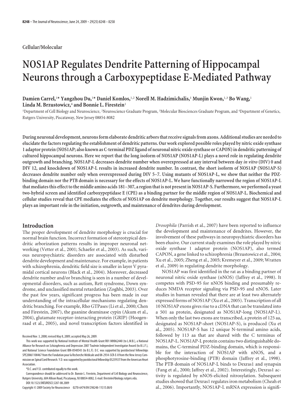 NOS1AP Regulates Dendrite Patterning of Hippocampal Neurons Through a Carboxypeptidase E-Mediated Pathway