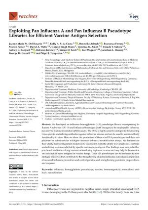 Exploiting Pan Influenza a and Pan Influenza B Pseudotype Libraries for Efficient Vaccine Antigen Selection