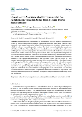 Quantitative Assessment of Environmental Soil Functions in Volcanic Zones from Mexico Using S&E Software