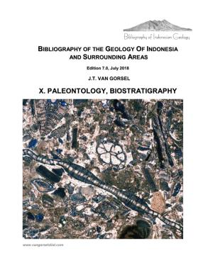 X. Paleontology, Biostratigraphy