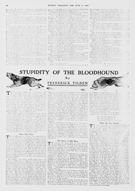 STUPIDITY of the BLOODHOUND by FREDERICK TILDEN