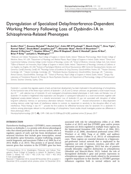 Dysregulation of Specialized Delay/Interference-Dependent Working Memory Following Loss of Dysbindin-1A in Schizophrenia-Related Phenotypes
