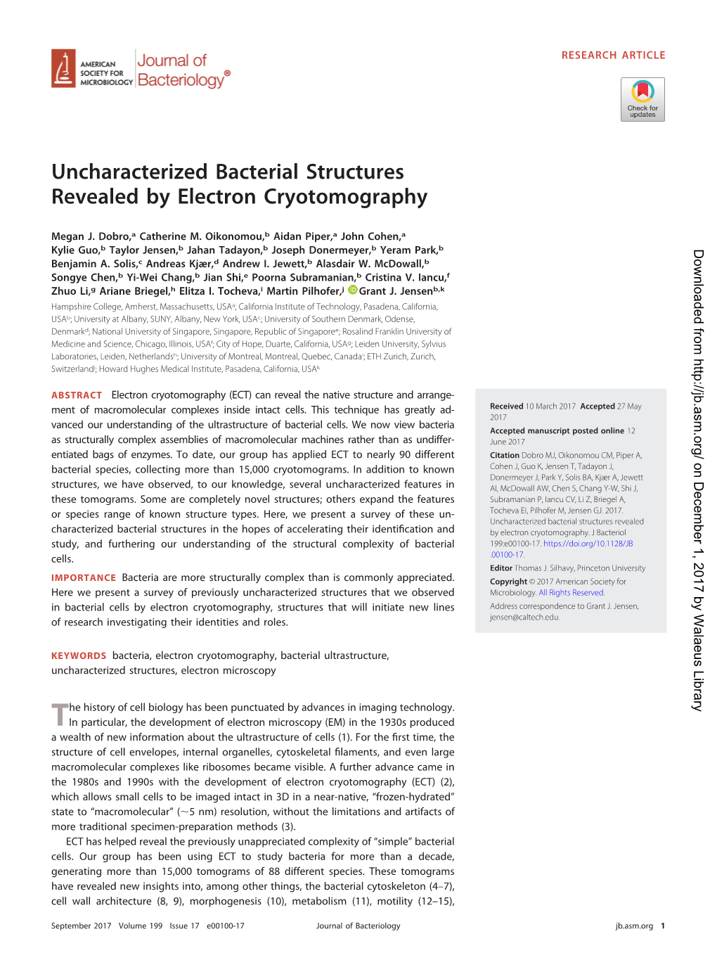 Uncharacterized Bacterial Structures Revealed by Electron Cryotomography