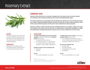 Rosemary Extract