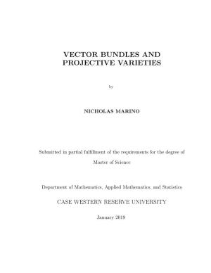 Vector Bundles and Projective Varieties