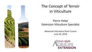 The Concept of Terroir in Viticulture
