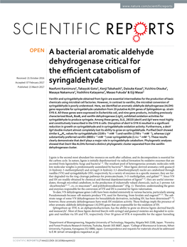 A Bacterial Aromatic Aldehyde Dehydrogenase Critical for The