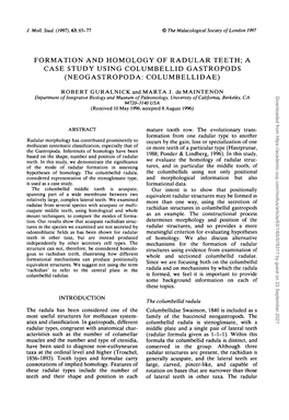 Formation and Homology of Radular Teeth; a Case Study Using Columbellid Gastropods (Neogastropoda: Columbellidae)