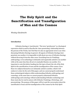 Wesley Giesbreicht, Transfiguration of Man and the Cosmos