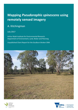 Mapping Pseudoraphis Spinescens Using Remotely Sensed Imagery