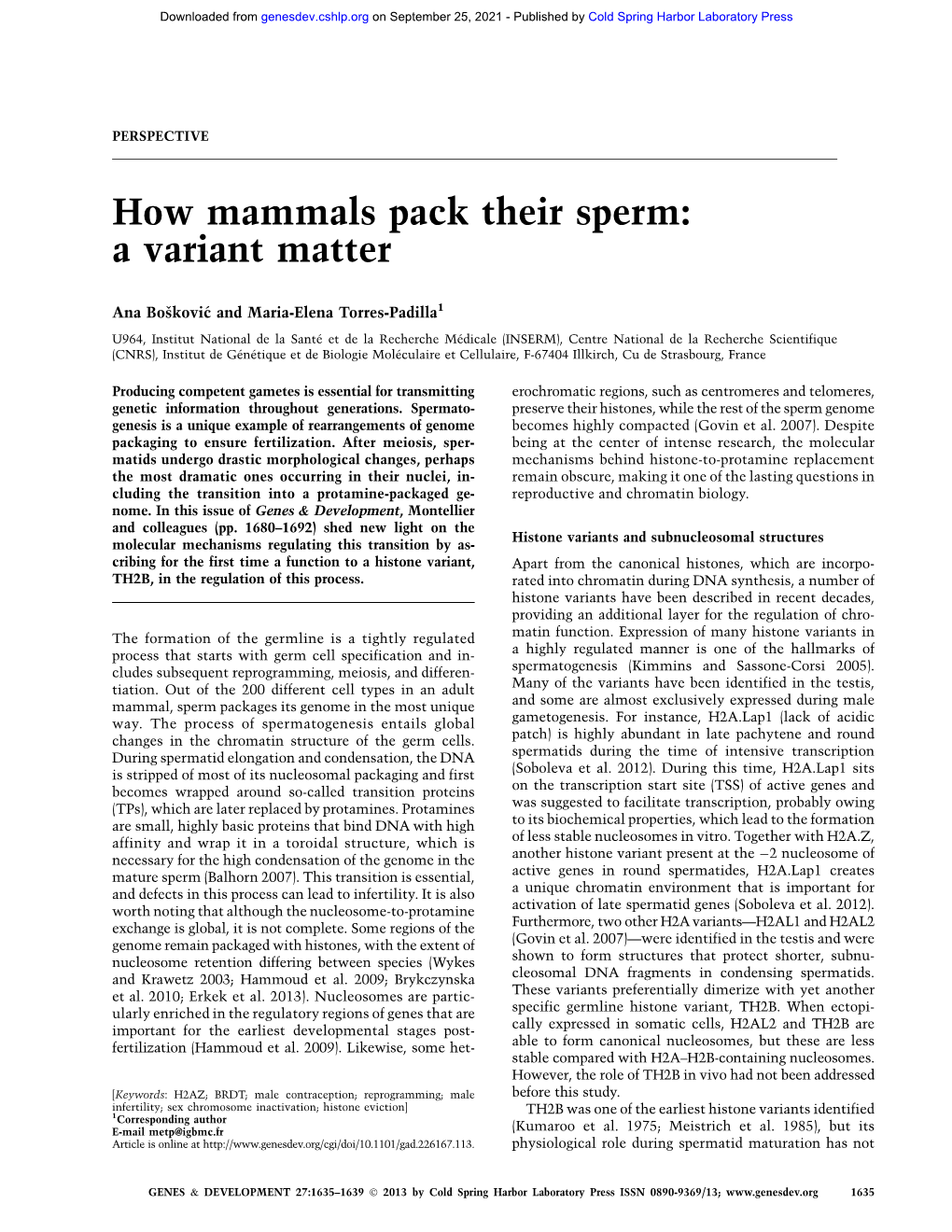 How Mammals Pack Their Sperm: a Variant Matter