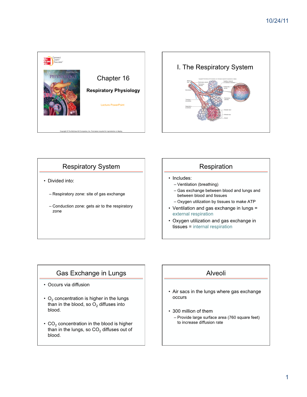 Chapter 16 I. the Respiratory System Respiratory System Respiration Gas Exchange in Lungs Alveoli