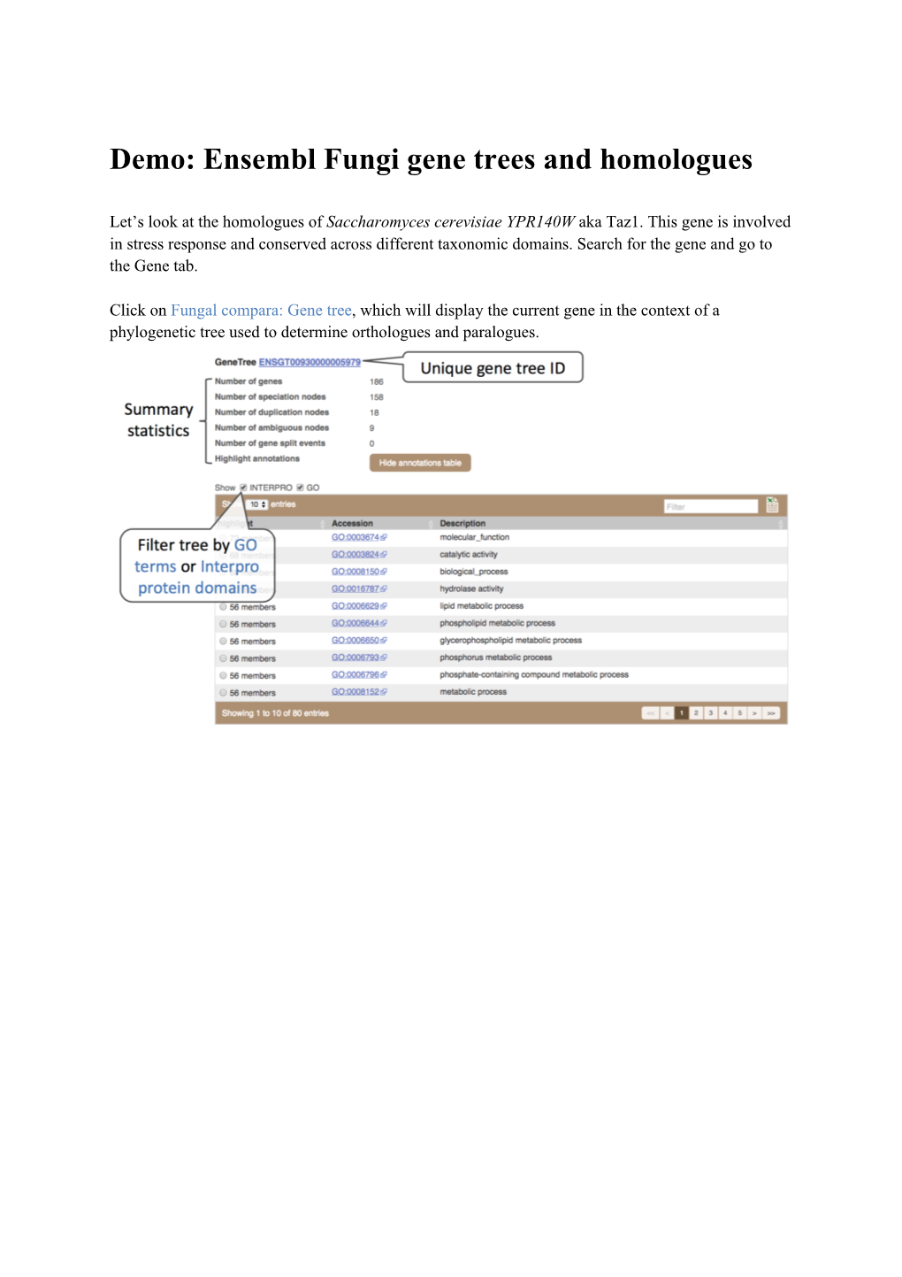 Ensembl Fungi Evolutionary Analysis (Gene Trees)