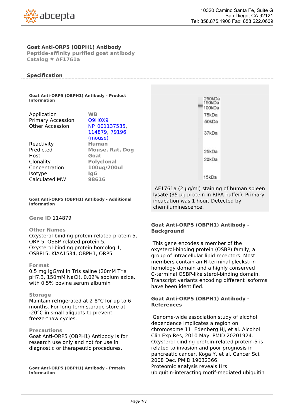 Goat Anti-ORP5 (OBPH1) Antibody Peptide-Affinity Purified Goat Antibody Catalog # Af1761a