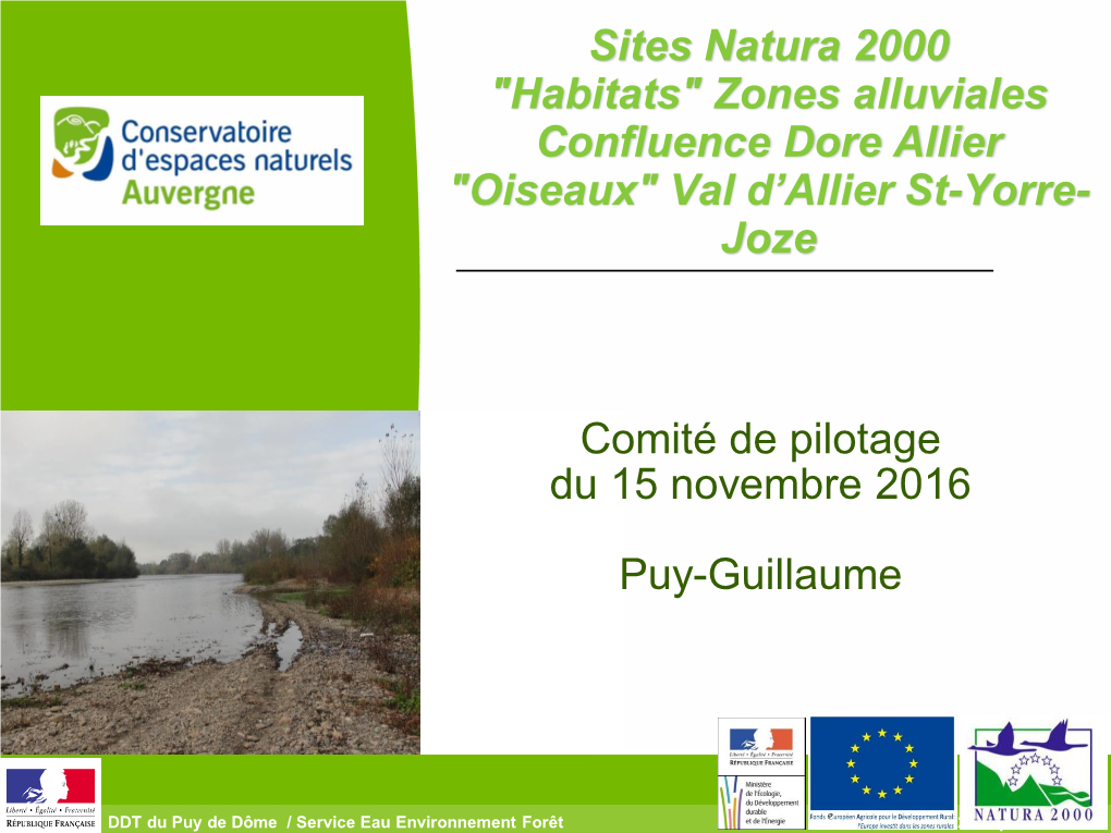Sites Natura 2000 "Habitats" Zones Alluviales Confluence Dore Allier "Oiseaux" Val D’Allier St-Yorre- Joze