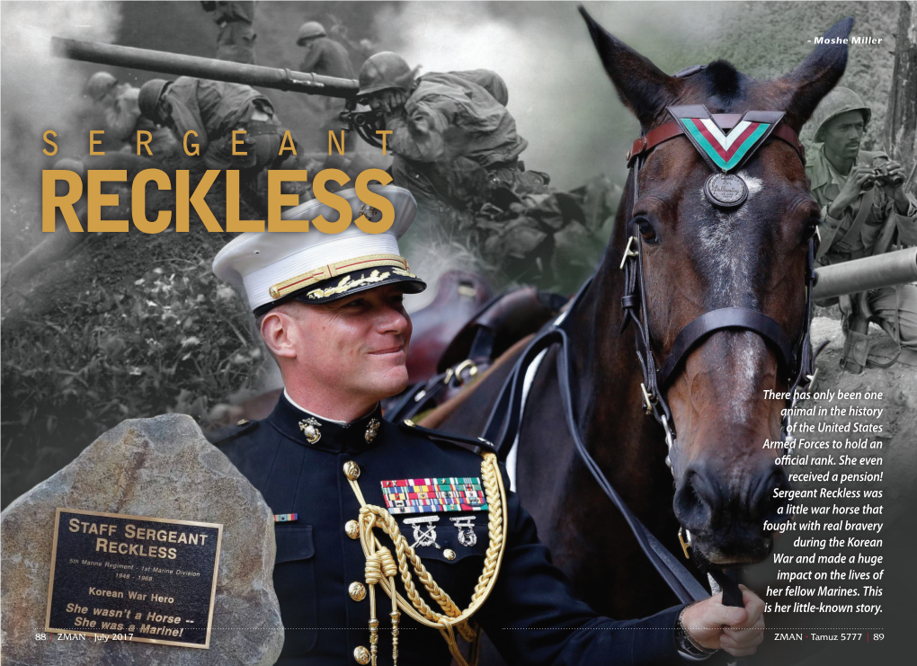 Sergeant Reckless