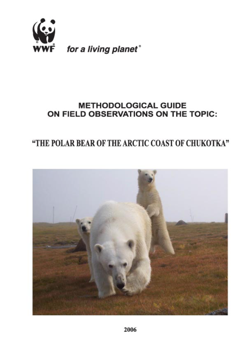 The Polar Bear of the Arctic Coast of Chukotka Download: 1 Mb | *.PDF