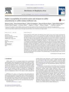 Higher Susceptibility of Cerebral Cortex and Striatum to Sulfite Neurotoxicity