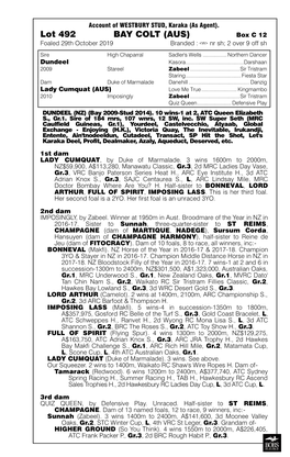 Lot 492 BAY COLT (AUS) Box C 12 Foaled 29Th October 2019 Branded : Nr Sh; 2 Over 9 Off Sh
