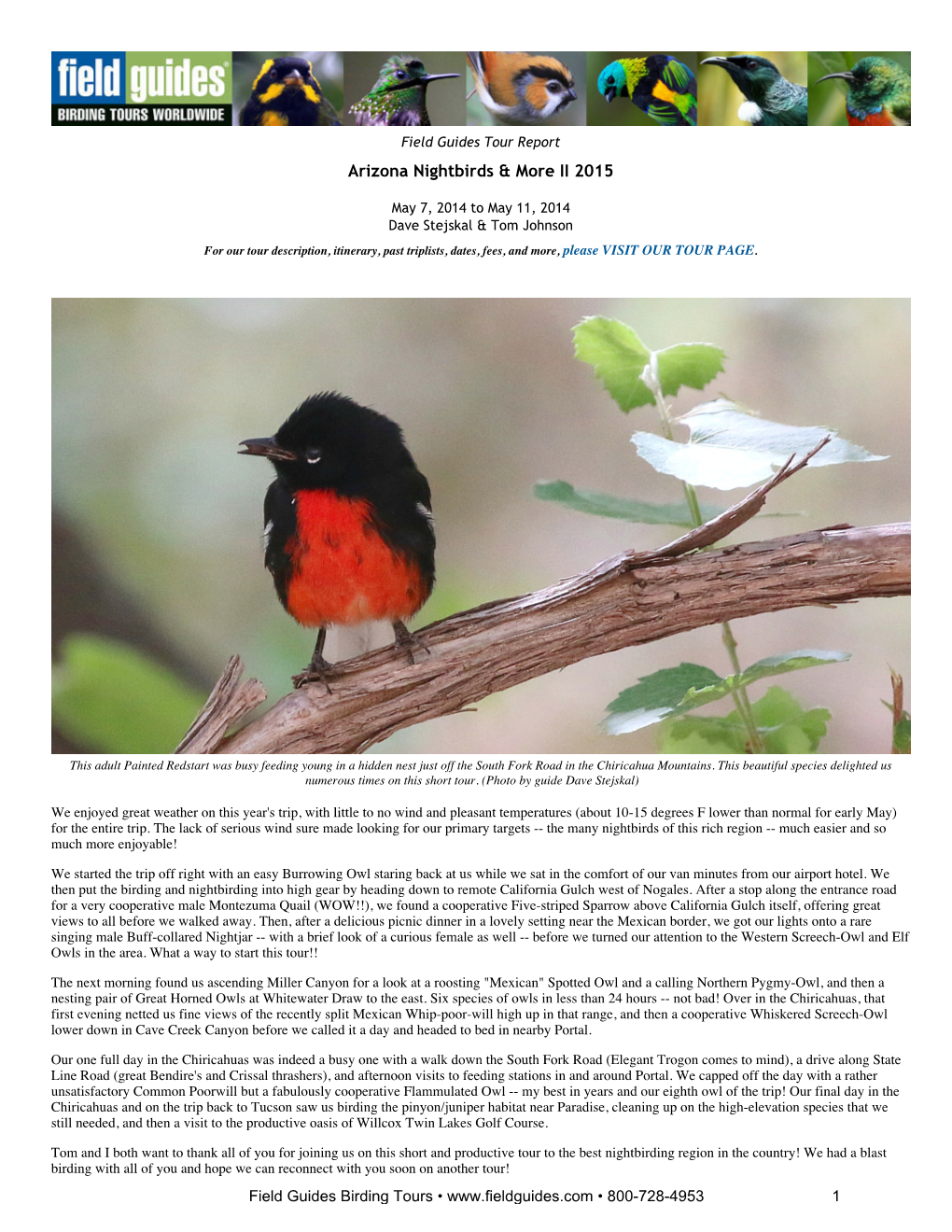Arizona Nightbirds & More II 2015
