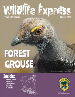 Forest Grouse