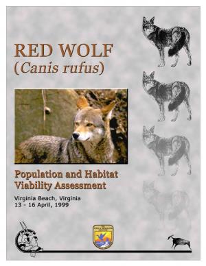 Red Wolf (Canis Rufus)