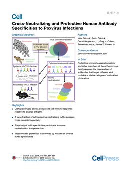 Cross-Neutralizing and Protective Human Antibody Specificities To