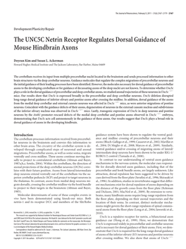 The UNC5C Netrin Receptor Regulates Dorsal Guidance of Mouse Hindbrain Axons