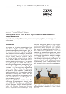 Investigation of Red Deer (Cervus Elaphus) Antlers in the Ukrainian