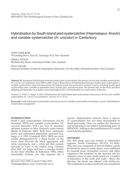 Hybridisation by South Island Pied Oystercatcher (Haematopus Finschi) and Variable Oystercatcher (H