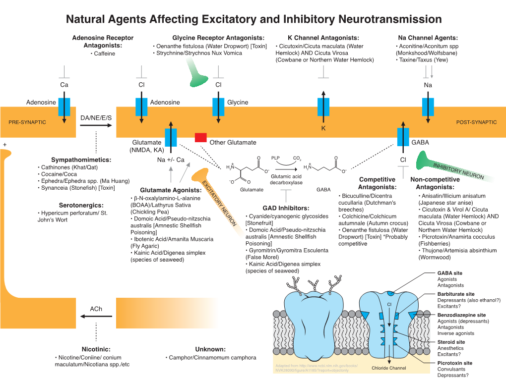 Natural Agents Affecting Excitatory and Inhibitory Neurotransmission